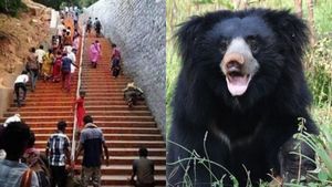  திருப்பதி அலிபிரி மலைப்பாதையில் சிறுத்தை மட்டுமல்ல.. கரடி, காட்டுப்பன்றிகள்.. கவனம் பக்தர்களே! 