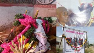 ஜல்லிக்கட்டு காளை ராமு மறைவு.. கரகாட்டம், ஒப்பாரியோடு  இறுதி அஞ்சலி.! மதுரையில் நெகிழ்ச்சி 