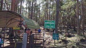 கொடைக்கானலில் தடை நீங்கியது.. குணா குகையை பார்க்க அனுமதி.. உற்சாகத்தில் சுற்றுலா பயணிகள் 