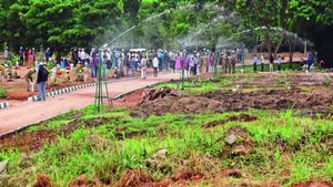 மேற்கு தொடர்ச்சி ‛‛மலையே’’ பெங்களூர் லால்பாக் வந்துவிட்டது! அசத்தல்.. மக்களே மிஸ் பண்ணாதீங்க! செம 