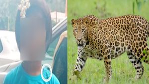  திருப்பதி மலைப்பாதையில் நடந்து சென்ற சிறுமி.. அடித்துக்கொன்ற சிறுத்தை .. பக்தர்கள் ஷாக் 