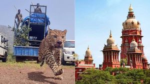 தெங்குமரஹடா கிராமத்தினர் வெளியேறப்போவது எப்போது?  மத்திய அரசுக்கு ஹைகோர்ட் முக்கிய உத்தரவு 