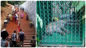 திருப்பதி வனப்பகுதியில் சிக்கிய 3வது சிறுத்தை.. திருமலை செல்லும் பக்தர்களின் அச்சம் நீங்கியது 