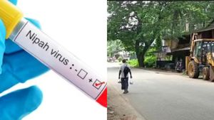 கேரளாவை மிரட்டும் நிபா வைரஸ்- கோழிக்கோட்டில் 'கொரோனா' கால ஊரடங்கு அமல்- கல்வி நிறுவனங்கள் மூடல்! 