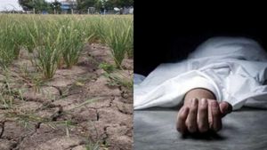  கருகிய குறுவை நெற்பயிர்.. நாகை மாவட்டத்தில் வேதனையில் விவசாயி உயிரிழப்பு 