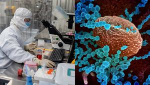 5 கோடி பேர் உயிர் போகும்.. அடுத்த பேரழிவை ஏற்படுத்த போகும் Disease 'X'.. ஏற்கனவே ஆரம்பித்துவிட்டதாம்