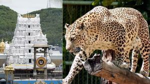 திருமலையில் அடுத்தடுத்து சிக்கும் சிறுத்தைகள்.. தடியோடு பக்தர்கள் பாதயாத்திரை.. கோவிந்தா முழக்கம் 