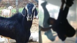 தெலுங்கானாவில் கொடூரம்.. ஆடு திருடியதாக கூறி தலித் இளைஞர்களை தலைகீழாக கட்டி தொங்கவிட்டு தாக்குதல் 