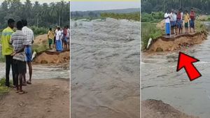  வேலூரில் பாய்ந்த வெள்ளம்.. பாலாற்றில் அடித்துச் செல்லப்பட்ட சாலை! கிராம மக்கள் கோரிக்கை 