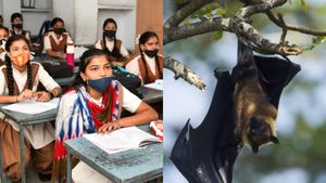 அலறவிடும் நிபா வைரஸ்.. ஒரு வாரத்துக்கு கோழிகோட்டில் பள்ளிகள் அனைத்தும் மூடல்! கேரளாவில் என்ன நிலை 