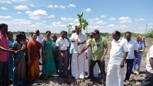 சோலைவனமாகும் சங்கரலிங்கபுரம்.. சென்னை வாழ் சங்கை தேவாங்கர் சங்கத்தினர் மரக்கன்றுகள் நட்டு சாதனை 