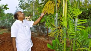 எல்லாம் பணம் காய்க்கும் மரங்கள்! 15 ஆண்டுகளில் பணம் கொட்டும்! ராமதாஸ் வளர்க்கும் 4,200 மரக்கன்றுகள்! 