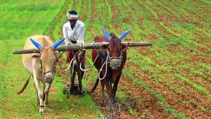 தமிழக விவசாயிகளே மிஸ் பண்ணிடாதீங்க.. நவம்பர் 15ம் தேதி கடைசி நாள்.. வெளியான முக்கிய அறிவிப்பு 