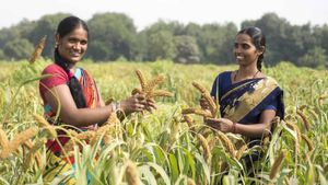 PM KISAN : விவசாயிகளே இன்னும் ஐந்து நாள் தான் இருக்கு.. ரூ.2000 வேண்டுமா.. உடனே இதை பண்ணுங்க 