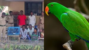 பச்சைக்கிளிகளை விற்பதும் வாங்குவதும் குற்றம் தெரியுமா? திருச்சியில் அகப்பட்ட 5 பேர்! 15 நாள் சிறை! 