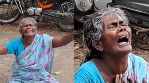 ஈவு இரக்கமற்ற பிள்ளைகள்.. கன்னியாகுமரி கலெக்டர் ஆபிஸில் தரையில் உருண்டு அழுத மூதாட்டி 