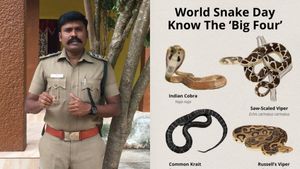 முதலுதவி.. பாம்பு கடித்தவுடன் இதை மட்டும் செய்திடாதீங்க.. முக்கோண தலையை தெரியுமா.. கவனம் மக்களே  