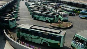 திருவண்ணாமலை தீப திருவிழா..  இலவச பேருந்து சேவையை நிறுத்த திடீரென உத்தரவிட்டது யார்?பக்தர்கள் கேள்வி