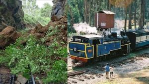 நீலகிரியில் கொட்டித்தீர்த்த கனமழை.. தண்டவாளத்தில் விழுந்த மரங்கள்.. மண் சரிவு.. மலை ரயில் ரத்து 