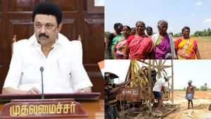 லட்சக் கணக்கில் மானியம்..  முதல்வர் ஸ்டாலினால் முன்னேறிய குடும்பங்கள்!