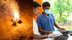  ரொம்ப முக்கியம்..! செல்ல பிராணிகள் வளர்க்கிறீங்களா? தீபாவளி பட்டாசு வெடிக்கும்போது இதை கவனிங்க!