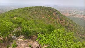 கோவையில் அதிசய கிராமம்... 6000 மரம் நட்டு.. பட்டாசு வெடிக்காமல் பறவைகளை காக்கும் மக்கள் 