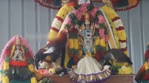 முருகனை தேடி வந்து வணங்கிய சேவலும் மயிலும்.. சிலிர்த்த திருவண்ணாமலை பக்தர்கள் 