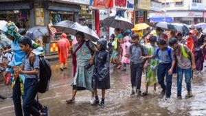புரட்டி எடுக்கும் கனமழை.. நெல்லை, தென்காசி, தேனி உள்பட 5 மாவட்டங்களில் இன்று பள்ளிகளுக்கு லீவ்