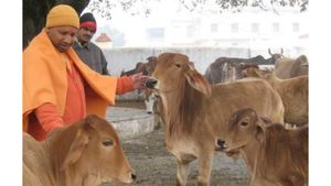 பசுக்களை பாதுகாக்க விரிவான கணக்கெடுப்பு! அதிகாரிகளுக்கு முதல்வர் யோகி ஆதித்யநாத் உத்தரவு 