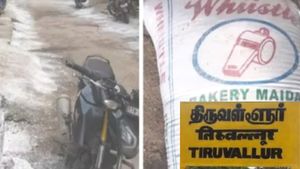 திருவள்ளூரில் ஒரே ஆச்சரியம்.. தெருவில் அதென்ன வெள்ளை கலர்ல? கிட்டபோய் பார்த்தால்? மிரண்ட செங்குன்றம்