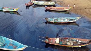  20,000 லிட்டர் எண்ணெய் கழிவை அகற்றியாச்சு.. எண்ணூரில் சிறப்பு முகாம்கள்.. மாநகராட்சி ஆணையர் தகவல்!