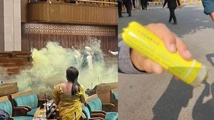 ‛‛காரணம் இதுதான்’’.. லோக்சபாவில் ‛ஸ்பிரே’ அடித்தது ஏன்? கைதானவர்கள் கூறிய பரபர வாக்குமூலம்.. ஷாக் 