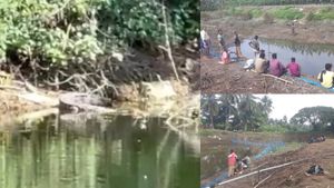 குட்டையில் கிடந்த முதலை மாயம்.. தண்ணீரை வெளியேற்றி தேடும் பணியில் வனத்துறை.. கோவை அருகே பரபரப்பு 