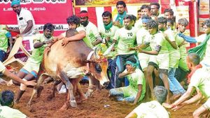 ஜல்லிக்கட்டு சுற்றுலா.. சென்னை டூ அலங்காநல்லூர்.. மீனாட்சி, கள்ளழகர் தரிசனம்..  புக் செய்வது எப்படி 