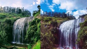 மூலிகைகள் நிறைந்த வேட்டைக்காரன் மலை! கொல்லிமலைக்கு அருகே இப்படி ஒரு டூரிஸ்ட் ஸ்பாட்டா? டோன்ட் மிஸ் 