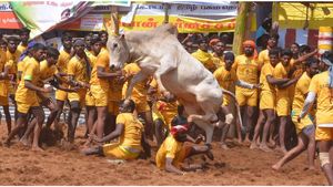 அலங்காநல்லூர் ஜல்லிக்கட்டு.. எல்லோரும் சமம்தான்.. தகுதியானவருக்குத்தான் பரிசு.. அமைச்சர் உறுதி 