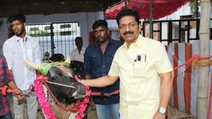 ஜல்லிக்கட்டு லீக் நடத்தக் கூடாது! குதிரை ரேஸ் போல் வியாபாரமாகிவிடும் ! மதுரை Dr சரவணன் முட்டுக்கட்டை