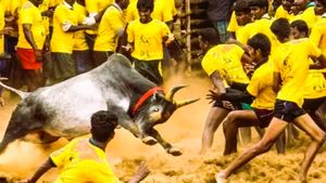 மதுரை அவனியாபுரம் ஜல்லிக்கட்டு! சீறிப்பாயும் காளைகளை அடக்கும் காளையர்கள்! கண்கொள்ளாக் காட்சி! 