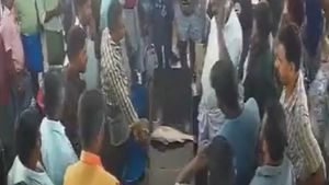 ஒரே ஒரு மீனு 17 ஆயிரம் ரூபாயா? அசர வைக்கும் கத்தாழை மீன்கள்! அப்படி என்னதான் ஸ்பெஷல்? 