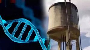 வேங்கைவயல் சம்பவத்தில் ‘ட்விஸ்ட்’.. ஒருவரின் DNA கூட ஒத்துப்போகவில்லை.. ஷாக் ஆன சிபிசிஐடி!