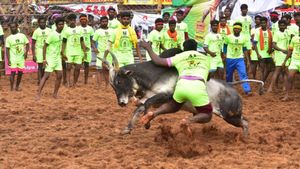 கார் பரிசை வச்சி என்ன செய்யுறது.. அரசு வேலை கொடுத்தால் நல்லாயிருக்கும்.. மாடுபிடி வீரர் கோரிக்கை 