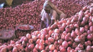 சின்ன வெங்காயம் கிலோ 10 ரூபாய்.. குஷியில் இல்லத்தரசிகள்.. கவலையில் திருச்சி விவசாயிகள் 