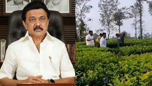 சிறுத்தை தாக்கி சிறுமி உட்பட 2 பேர் பலி.. தலா ரூ.10 லட்சம் இழப்பீடு வழங்க முதல்வர் ஸ்டாலின் உத்தரவு!