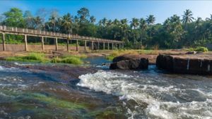 சொக்க வைக்கும் செம அழகு.. நம்ம குமரியில்! ரீல்ஸ், ஷார்ட்ஸ்களில் வரும் மாத்தூர் தொட்டி பாலம் -போலாமா? 
