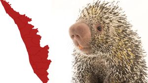கருப்பு கலர்ல.. ரோட்ல வந்த பெரிய 