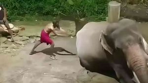 ஜெயலலிதாவின் 