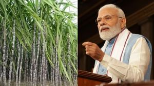 பிரதமர் மோடி கேபினட் கூட்டத்தில் அதிரடி முடிவு.. கரும்புக்கான ஆதார விலையை உயர்த்த அமைச்சரவை ஒப்புதல்