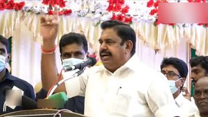 லோக்சபா தேர்தல்.. மாசி அமாவாசையில் நேர்காணல்.. உடன்பிறப்புக்களை அழைத்த எடப்பாடி பழனிச்சாமி 