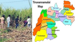 கரும்பு தோட்டத்தில்.. ஆடையின்றி பரிதாப பெண்.. ஹைவேஸில் பெட்ரோல் பங்க்.. பரபர திருவண்ணாமலை ராதாபுரம்