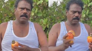 தமிழ்நாட்டில் உள்ளவங்களுக்கு அறிவே இல்லை.. முந்திரி தோப்புக்குள் நின்று ஆதங்கப்பட்ட தங்கர் பச்சான் 